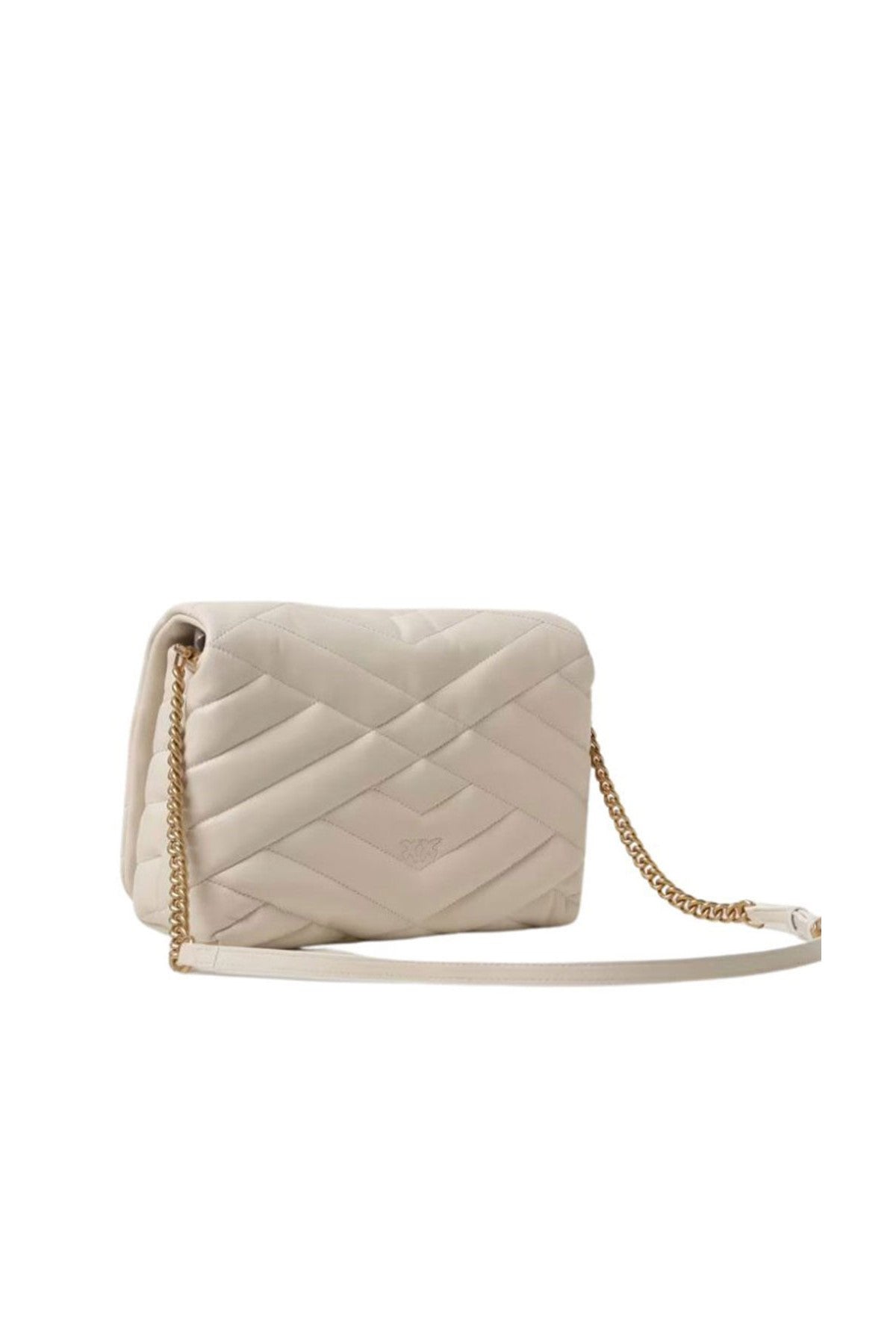 Pinko Women's Bag