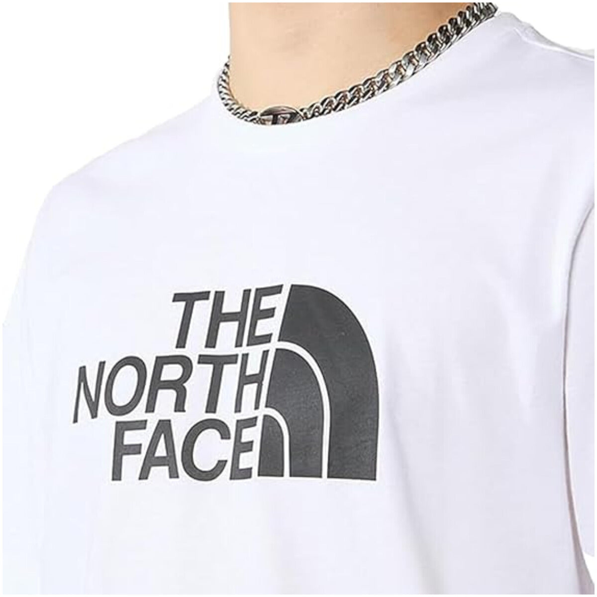 The North Face Men's T-Shirt
