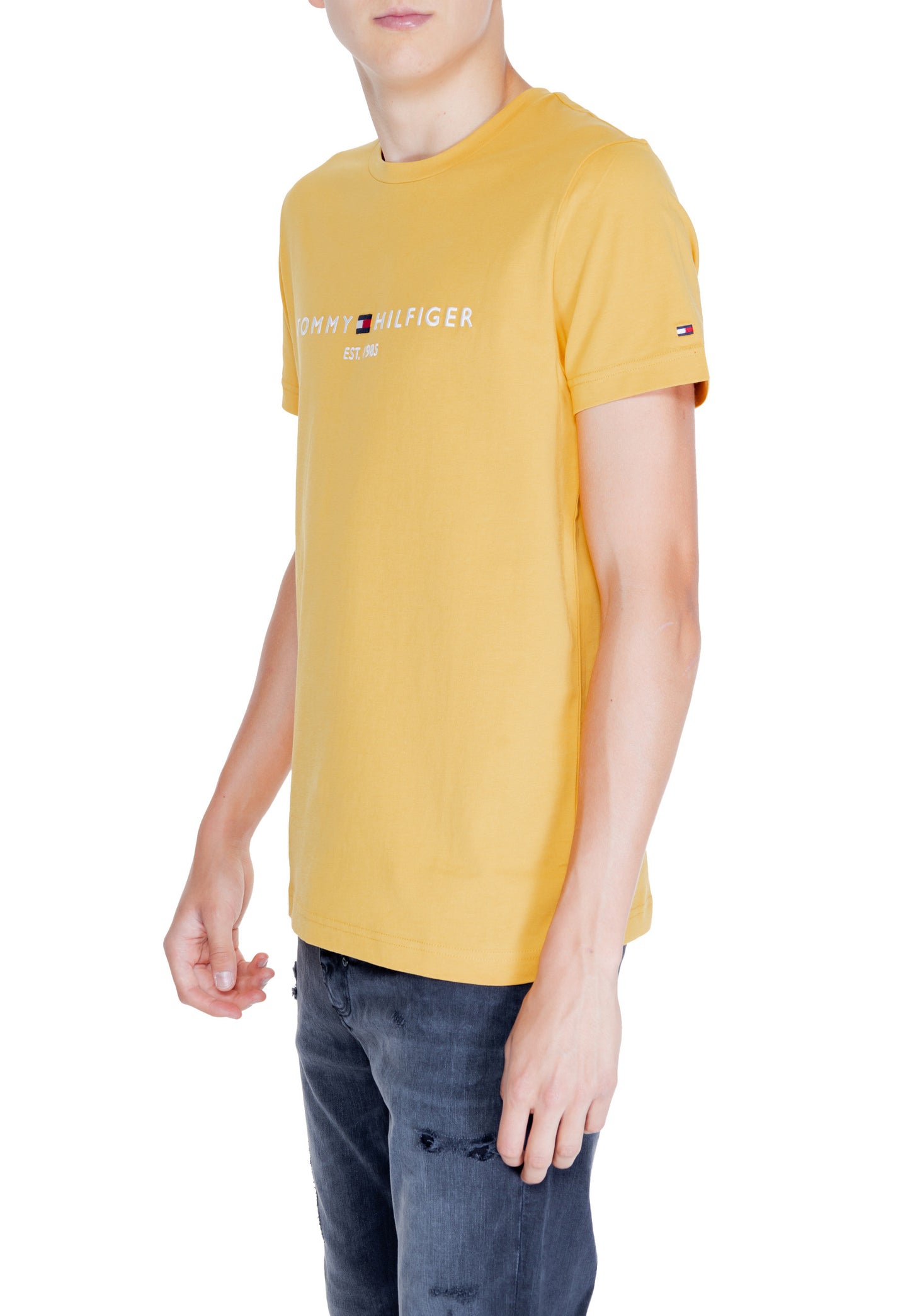 Camiseta Tommy Hilfiger para hombre