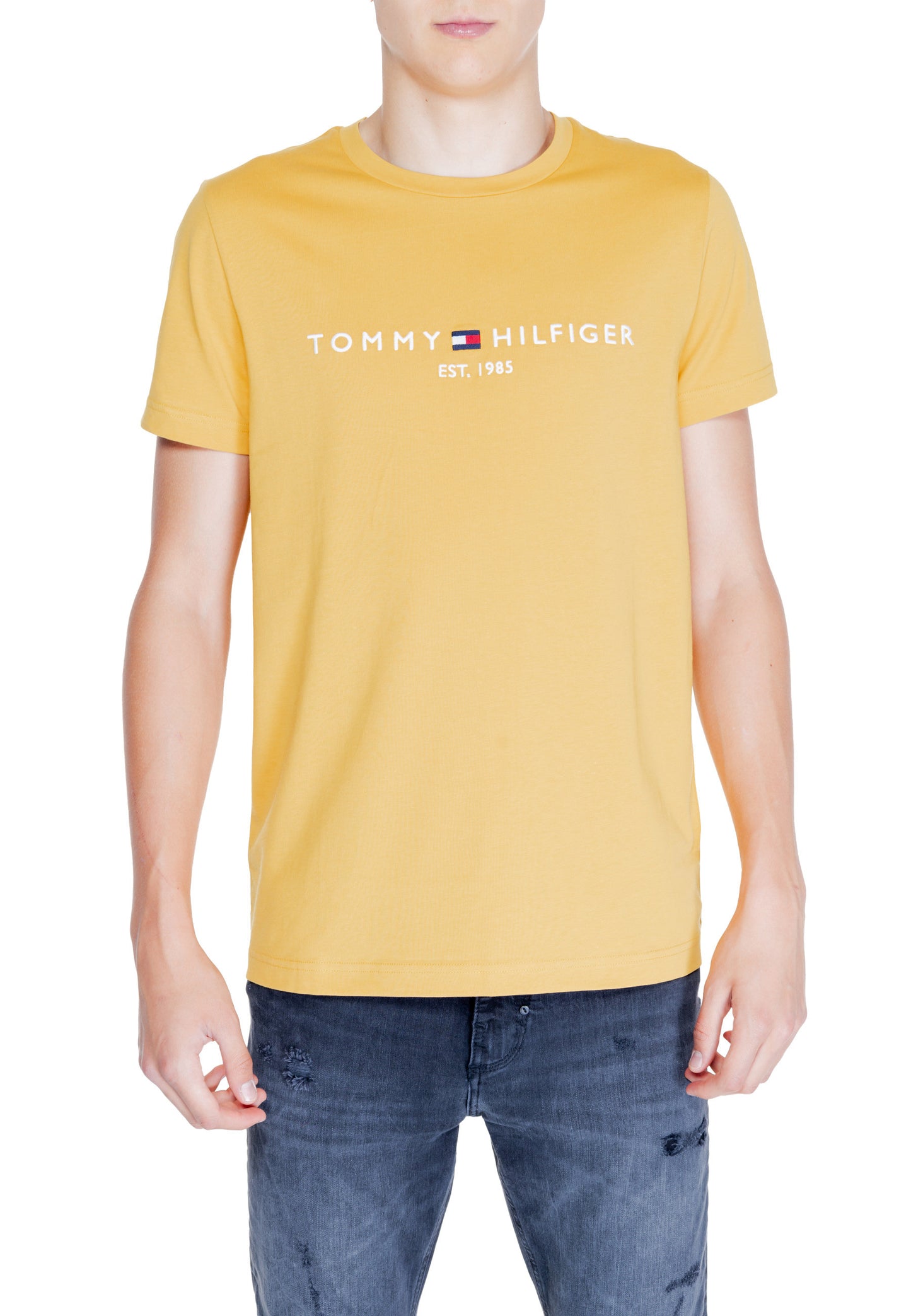 Camiseta Tommy Hilfiger para hombre