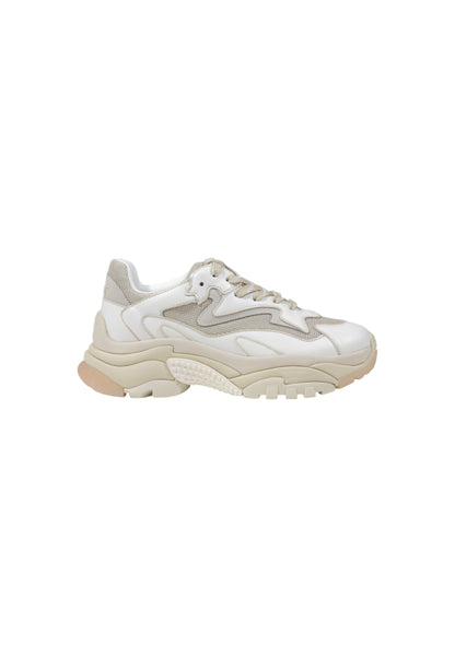 Ash Women's Sneakers