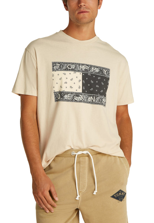 Tommy Hilfiger Jeans T-Shirt Uomo