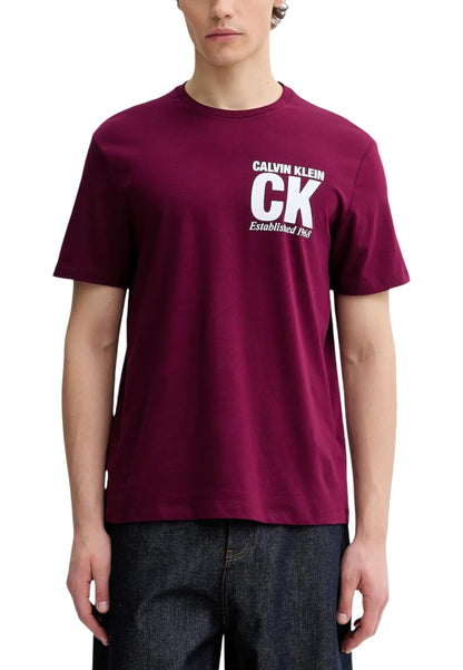 Calvin Klein T-Shirt Uomo Calvin Klein LV04RE819G bordeaux  bordeaux