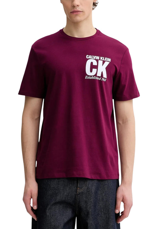 Calvin Klein T-Shirt Uomo Calvin Klein LV04RE819G bordeaux  bordeaux