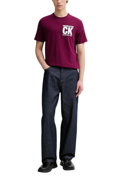 Calvin Klein T-Shirt Uomo Calvin Klein LV04RE819G bordeaux  bordeaux
