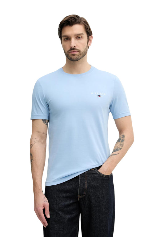 Tommy Hilfiger Jeans T-Shirt Uomo Tommy Hilfiger Jeans BRAND LOVE SMALL HIL light blue  light blue