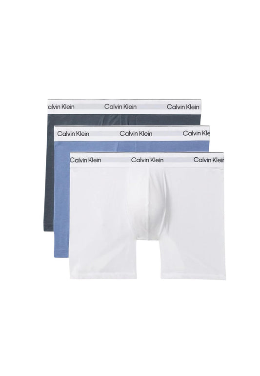 Calvin Klein Underwear Intimo Uomo Calvin Klein Underwear BOXER BRIEF 3PK blue  blue