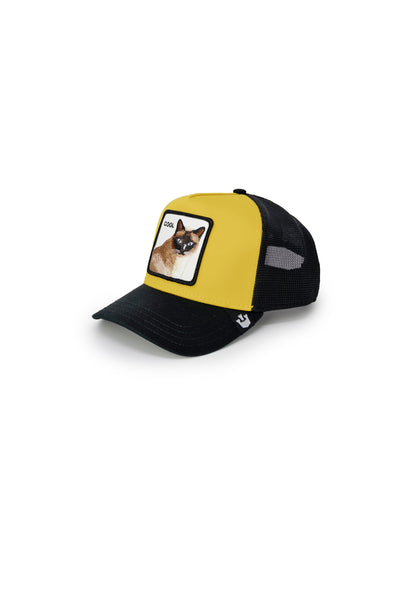 Gorra Goorin Bros para hombre